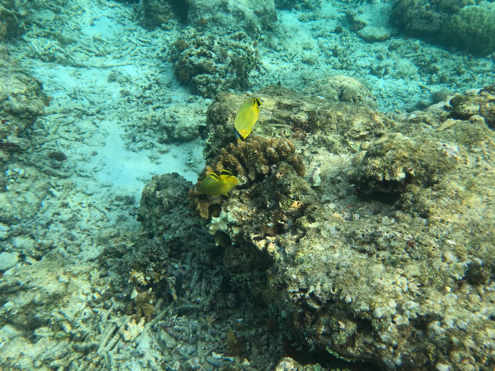 lombok-dobrovolnik4